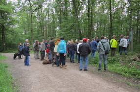Wandergruppe Wandergruppe im Wald bei einer Exkursion