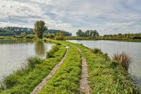Bild mit Flusslauf