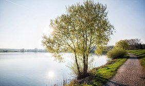 Florian Trykowski - Obernzenner See